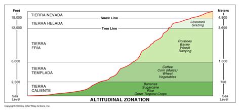 altitude of mexico city in feet